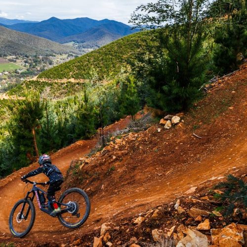 Cyclist decending on single track with bike with landscape mountains in background, Bright Victoria